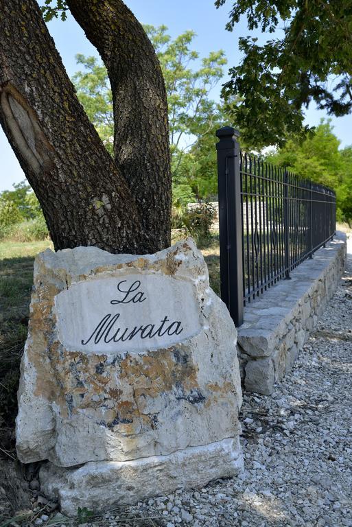 La Murata Rapolano Terme Εξωτερικό φωτογραφία